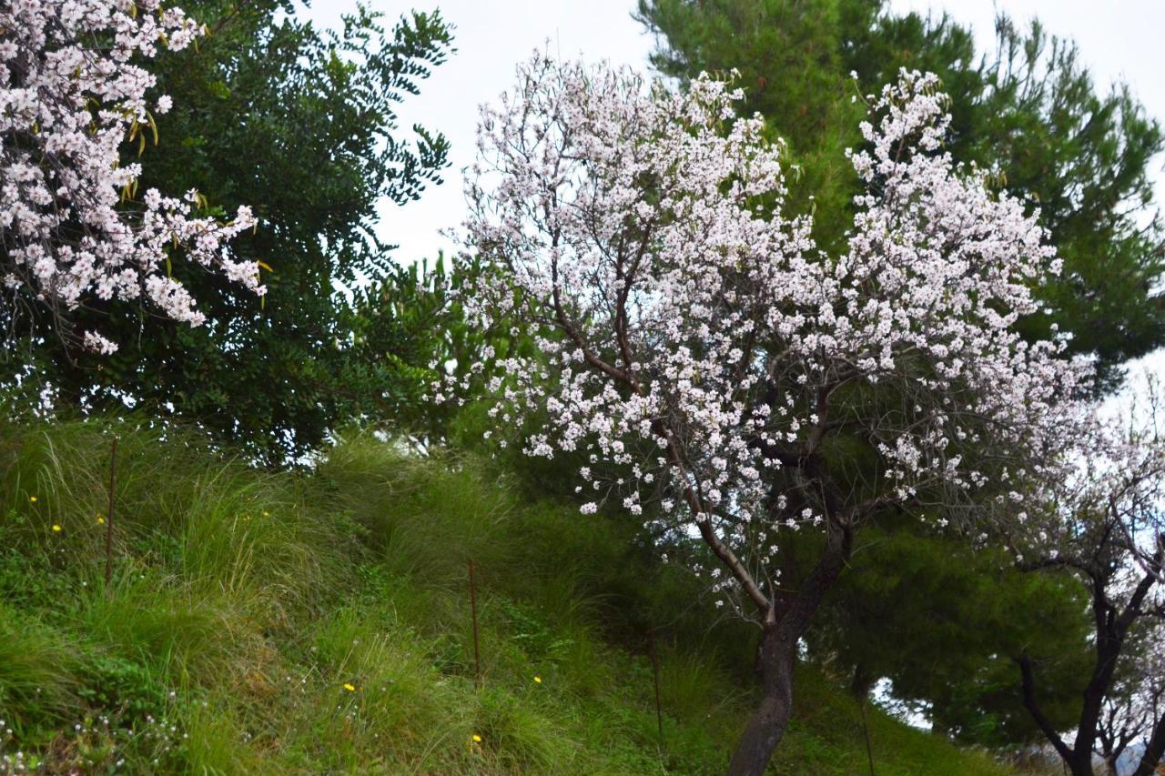 Casa Jardin Natural Sedella Zewnętrze zdjęcie