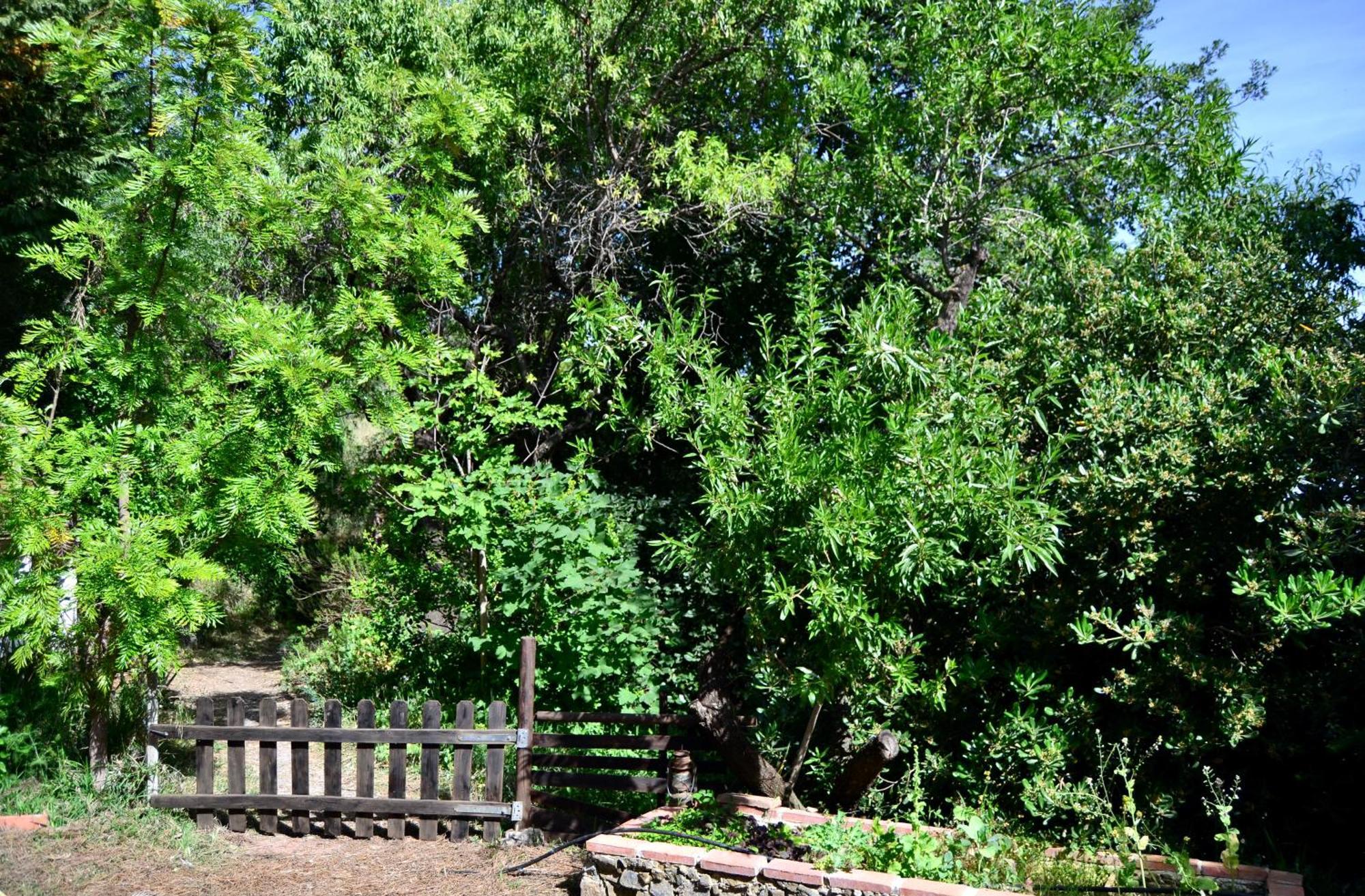 Casa Jardin Natural Sedella Zewnętrze zdjęcie